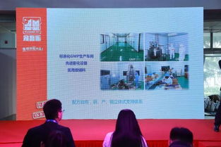 新品 上十款新品,总有一款是你的菜