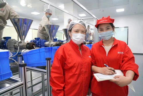 在戈壁滩上挥写 脱贫答卷 的上海 沙漠玫瑰