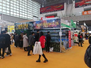 上海哲郑实业 射击游戏给你绝对刺激 智能游乐 相聚义乌