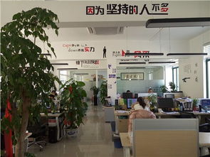 无线网络解决方案上海源派 无线网络解价格及规格型号