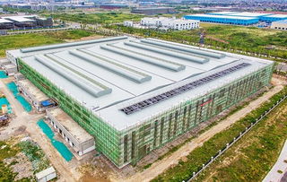 项目建设有序推进