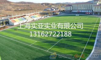 上海人造草坪材料,建设人造草坪专业保养