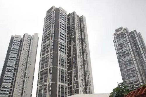 2020上海静安区 了解背后原因以及详情